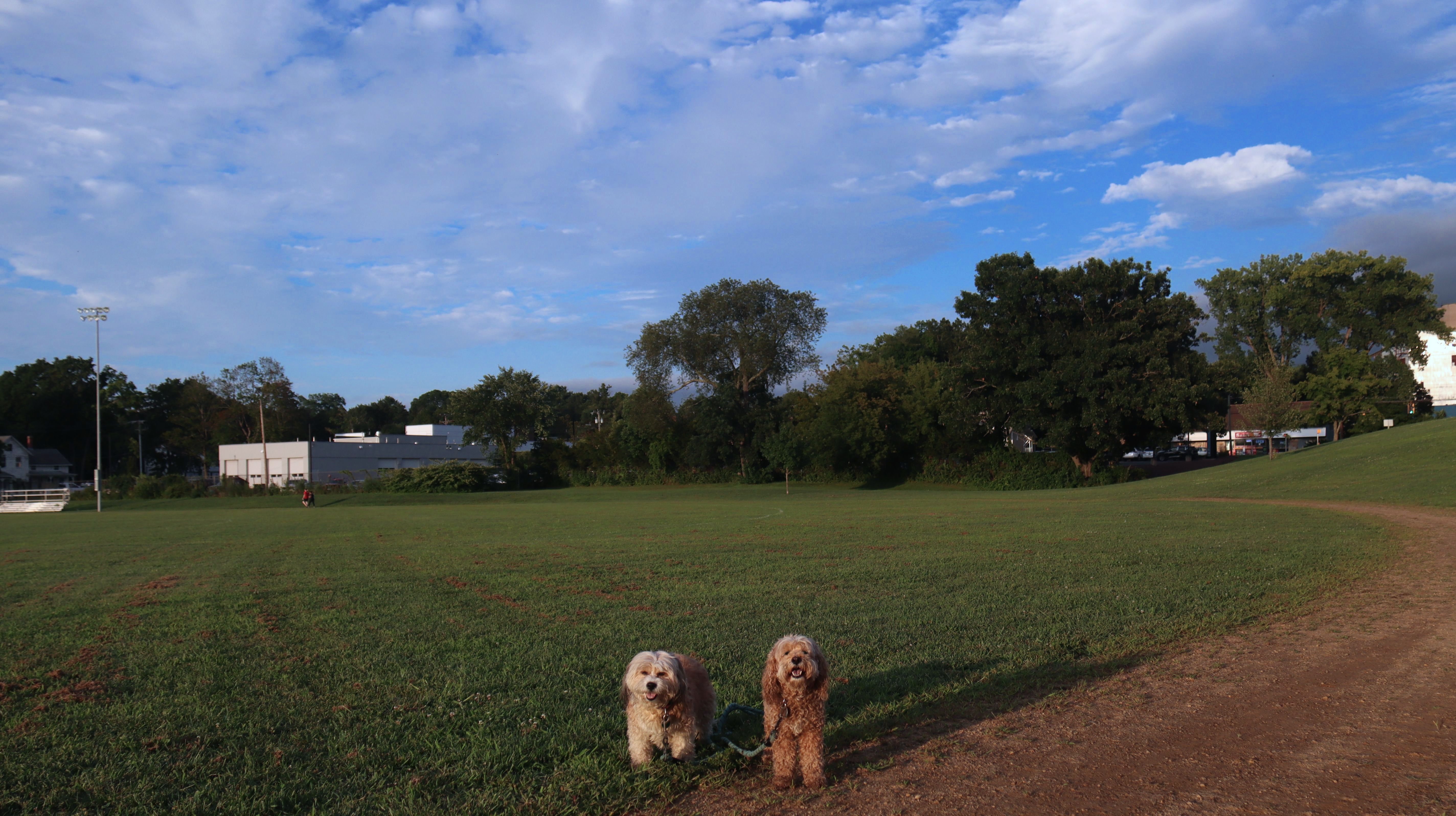 cosy ganoosh uppababy CozyGanoosh Footmuff Burton x Looney Tunes Disney stroller hire Do not dry clean. Style:E6X-853S-JWR