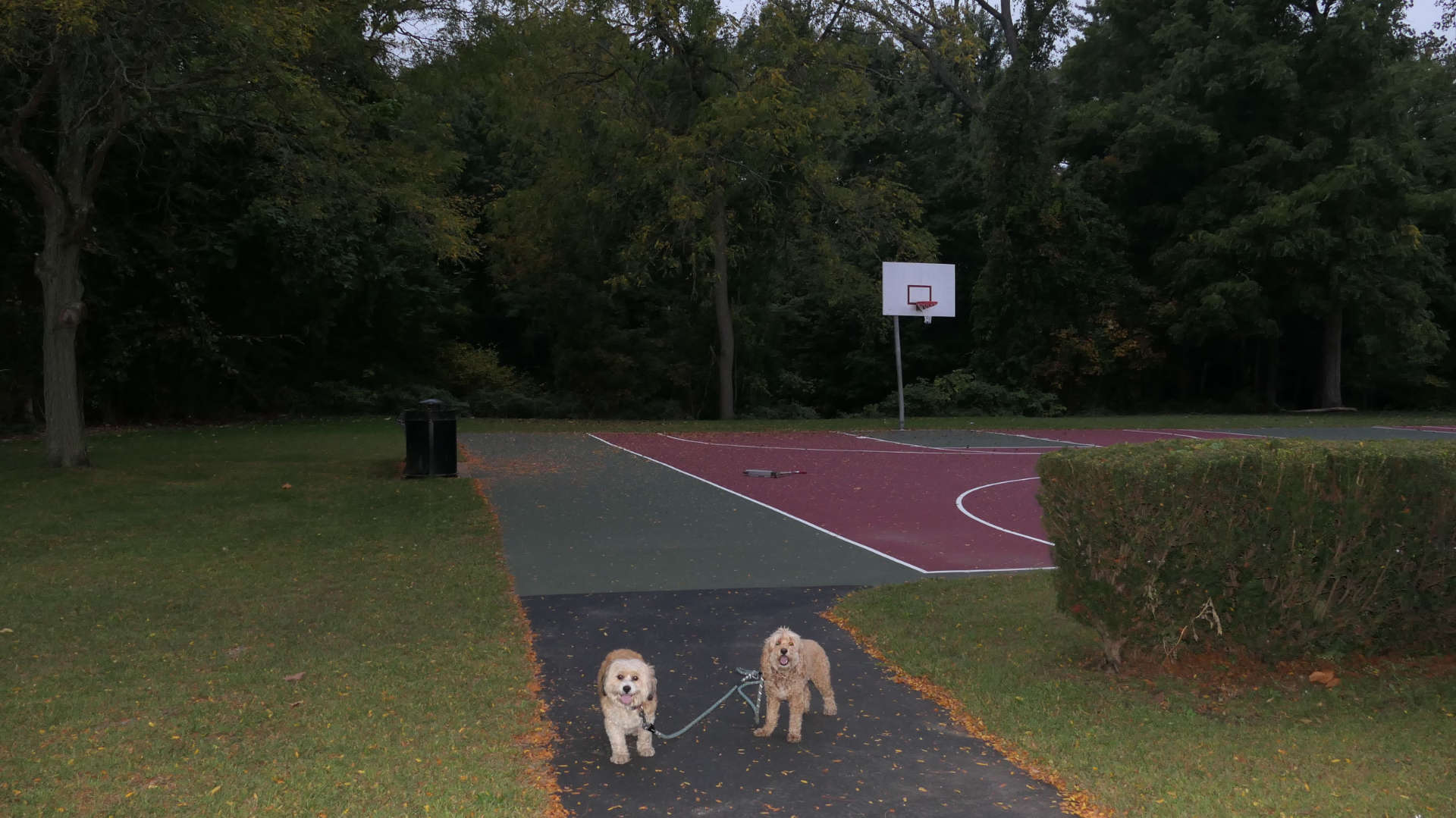 East_Hartford63