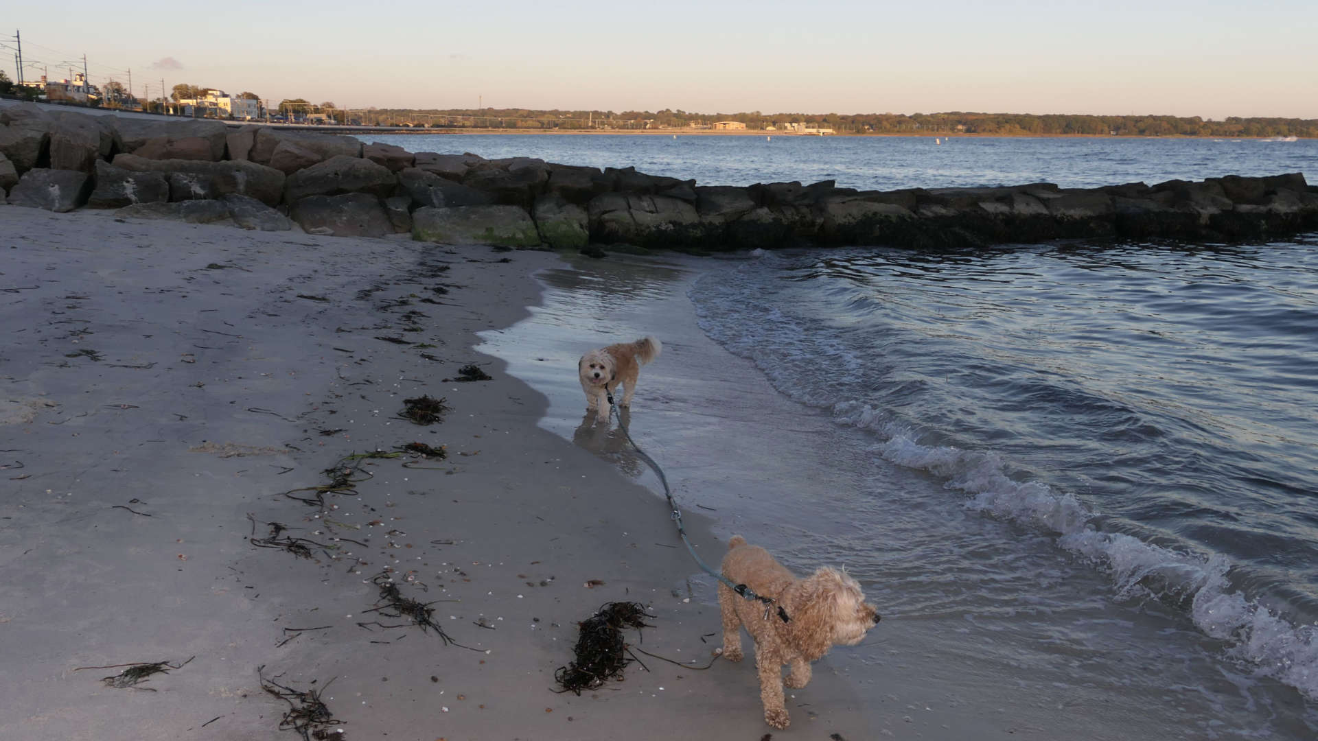 East_Lyme68
