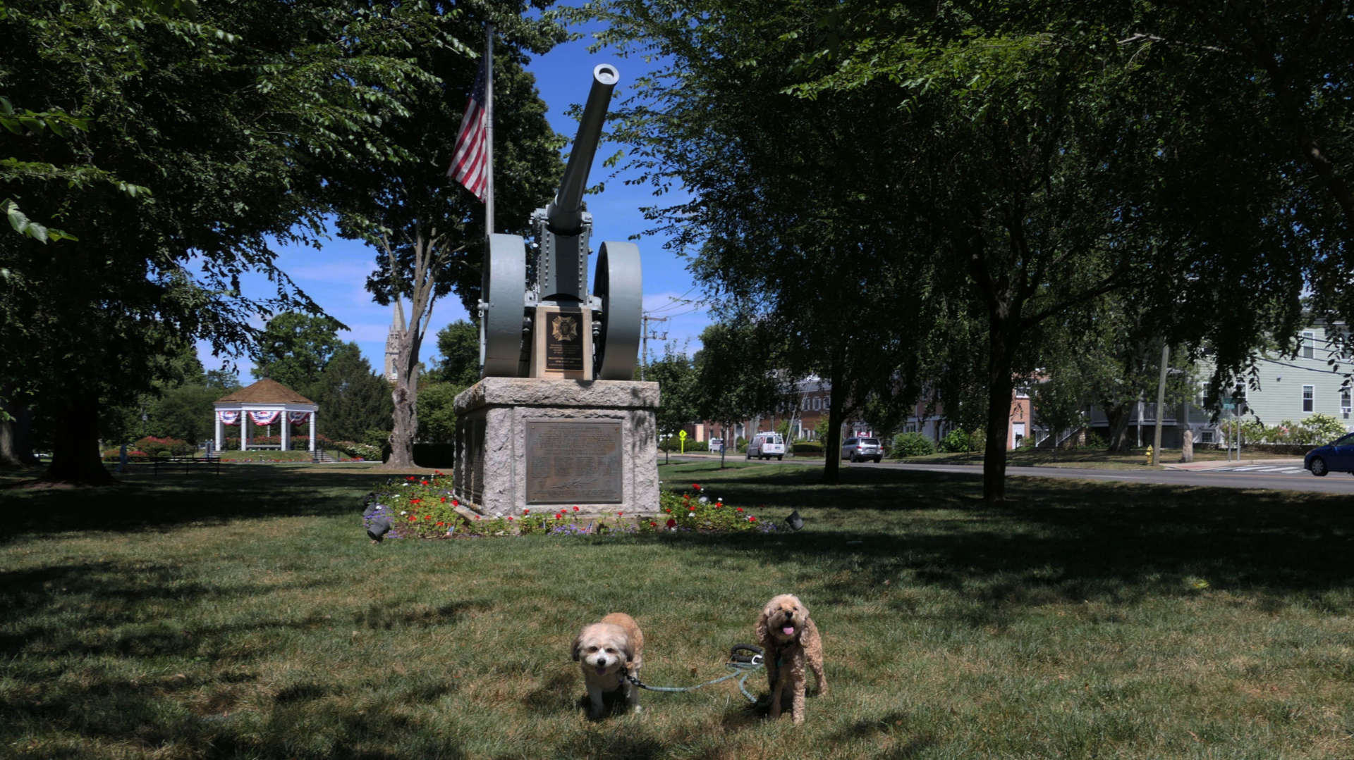 Norwalk36