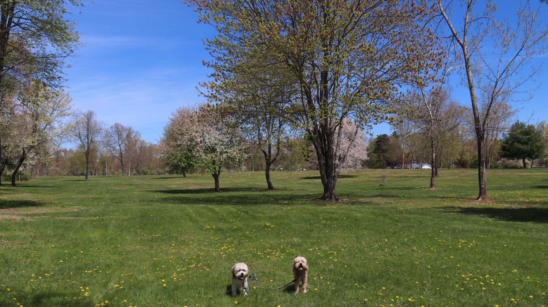 South_Windsor228