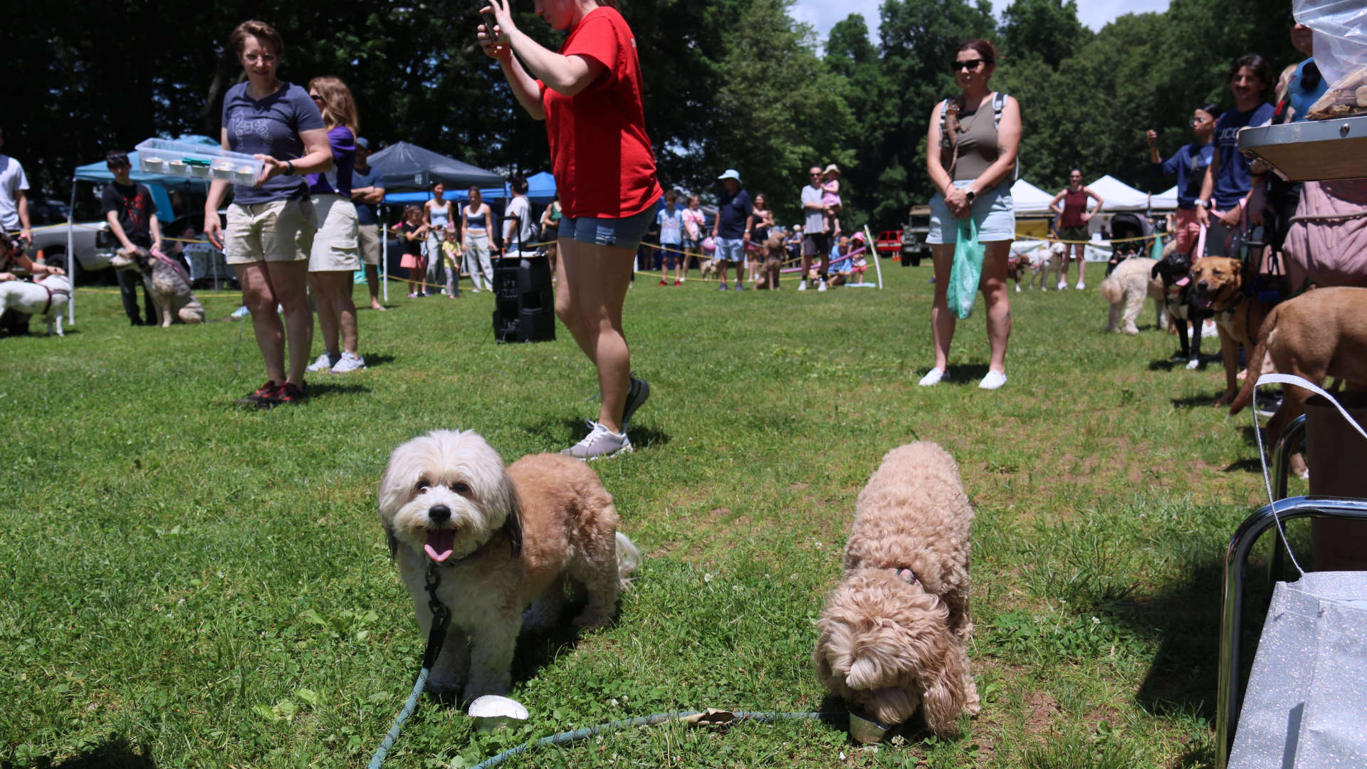 South_Windsor242