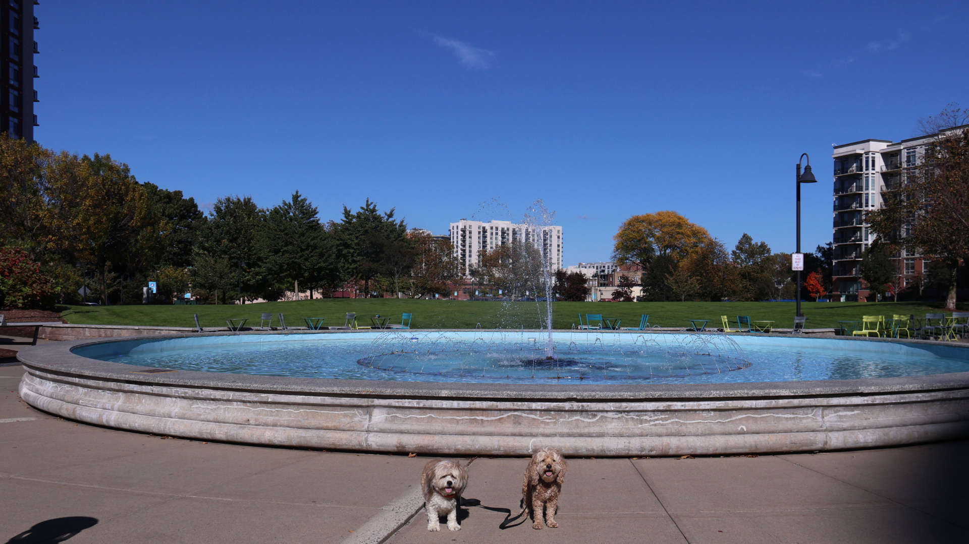 Stamford104
