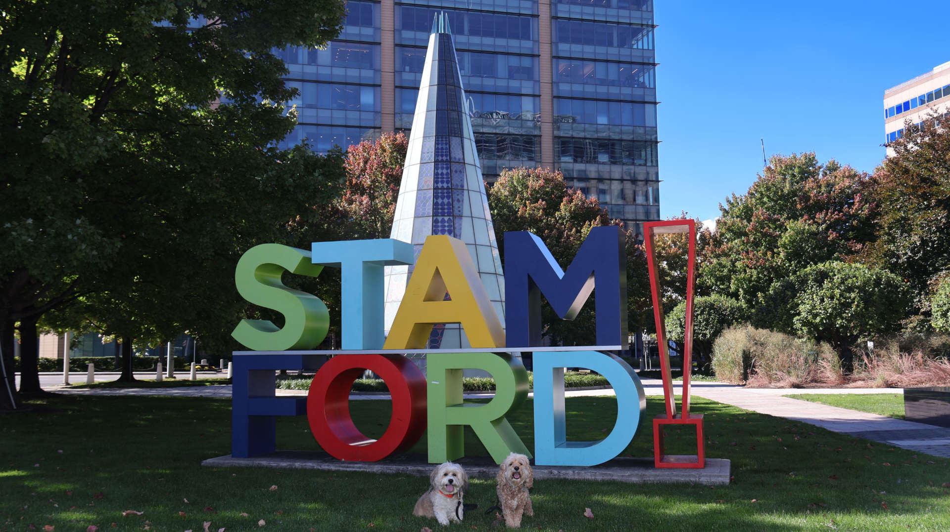 Stamford107
