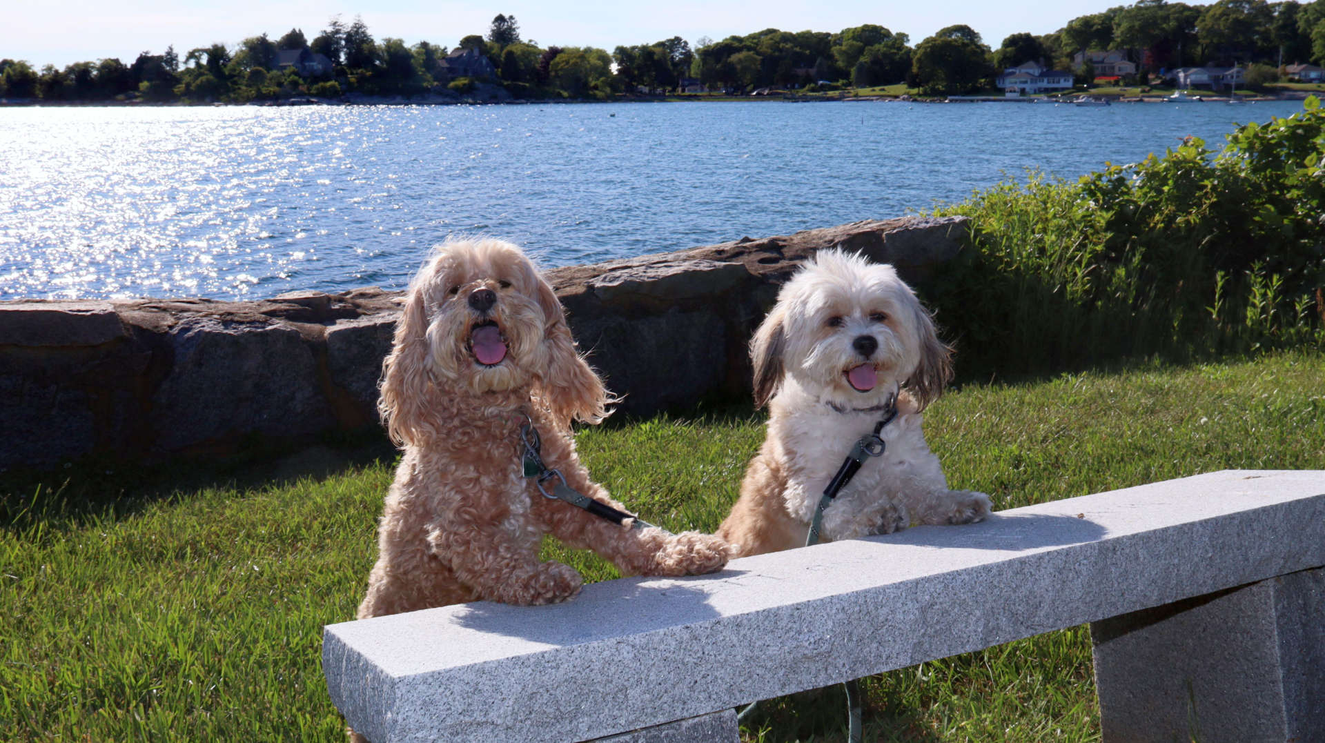 Stonington196