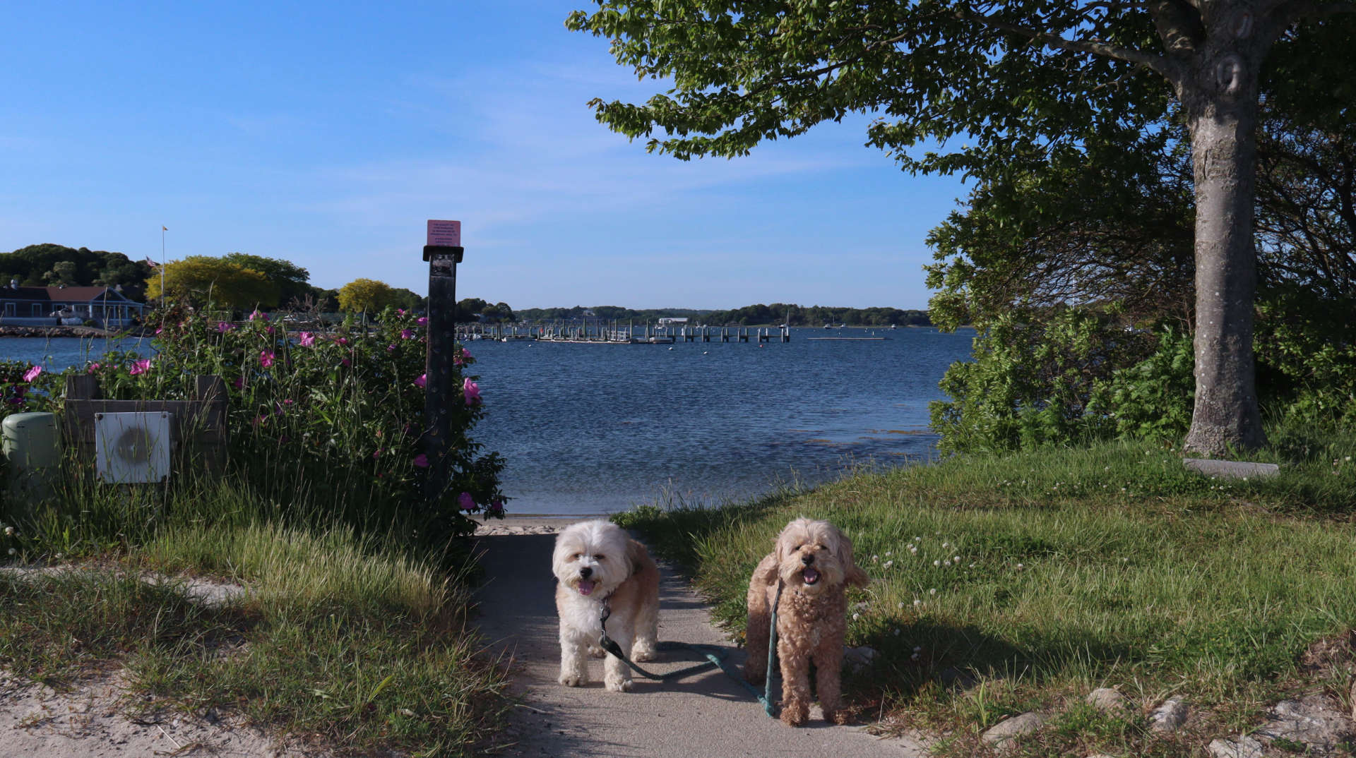 Stonington218