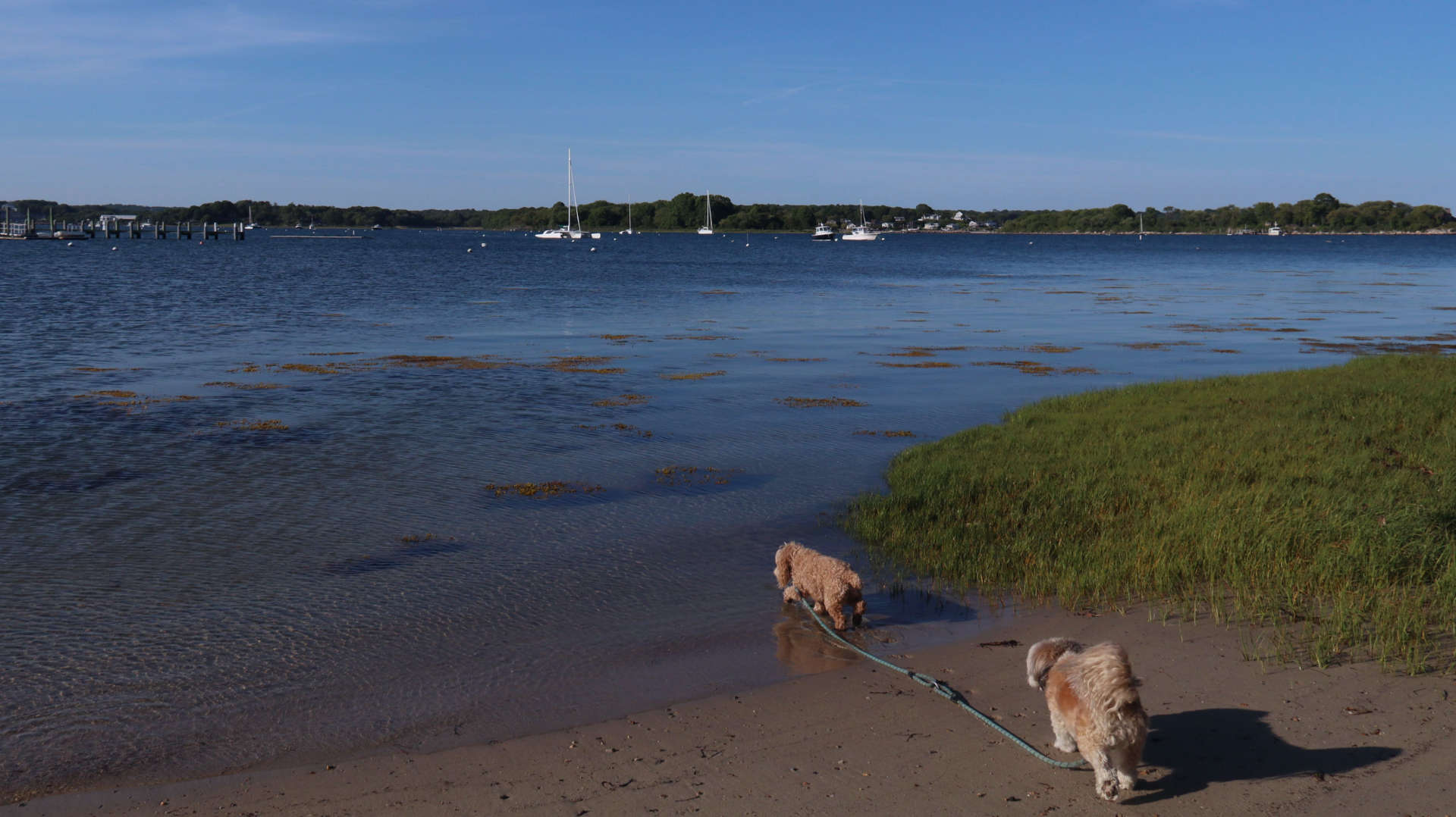 Stonington221