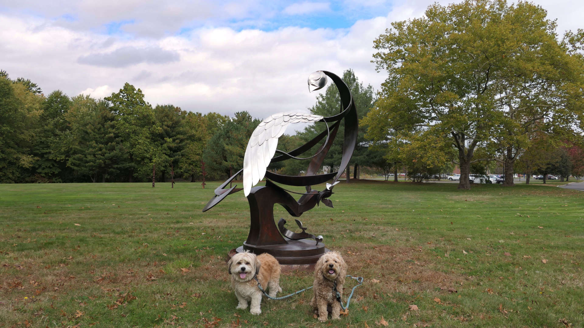West_Hartford39