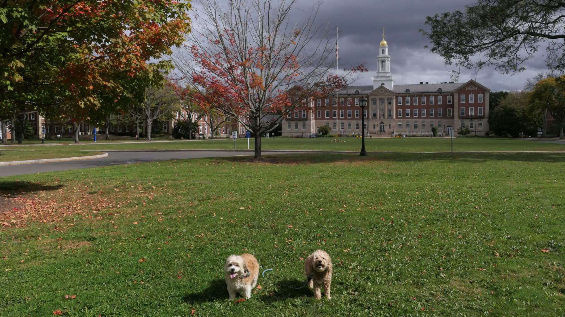 West_Hartford47