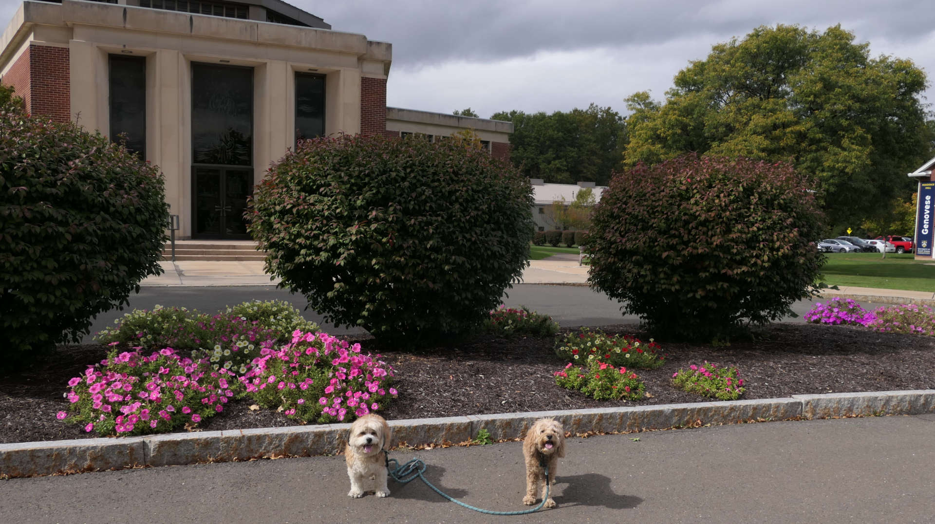West_Hartford48