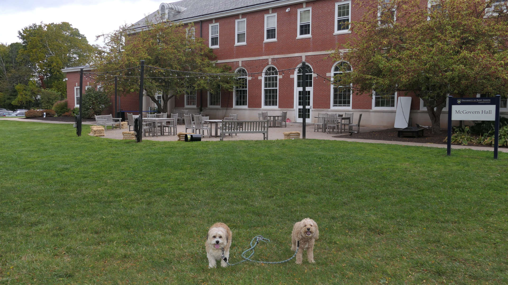 West_Hartford52