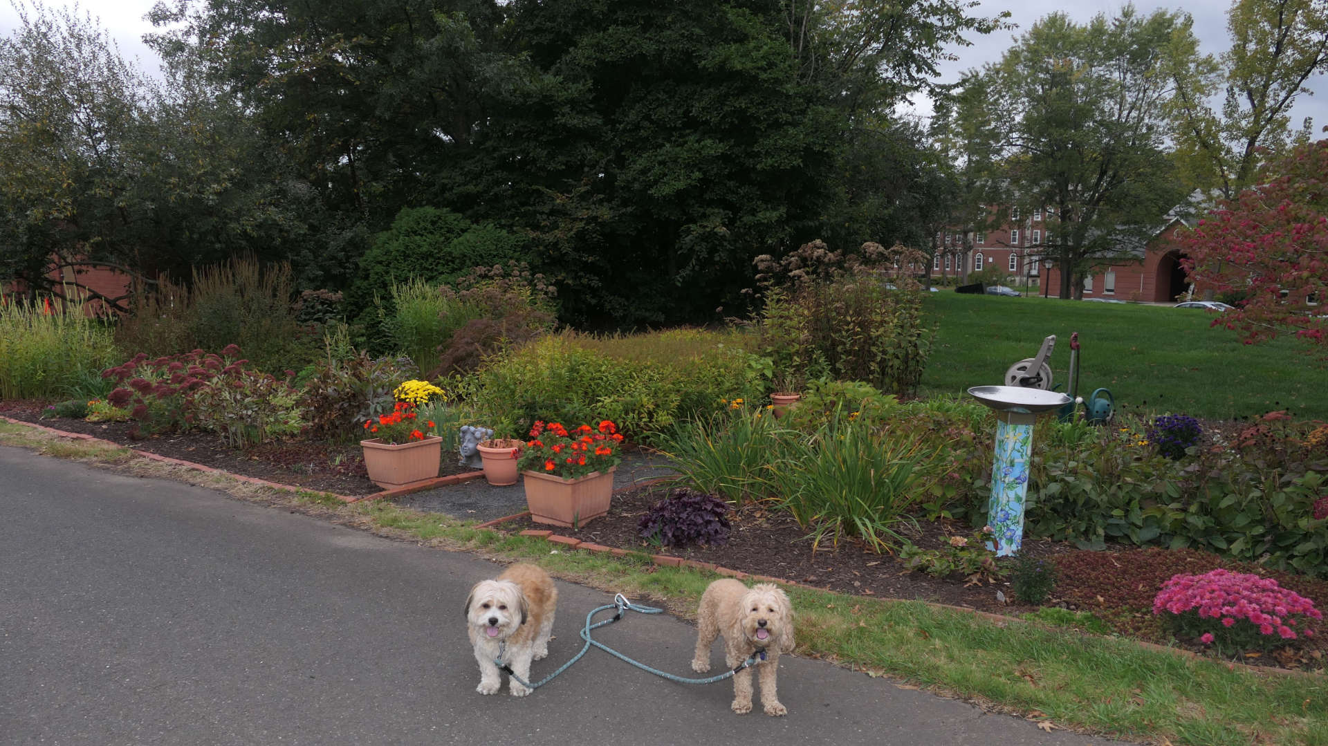 West_Hartford58