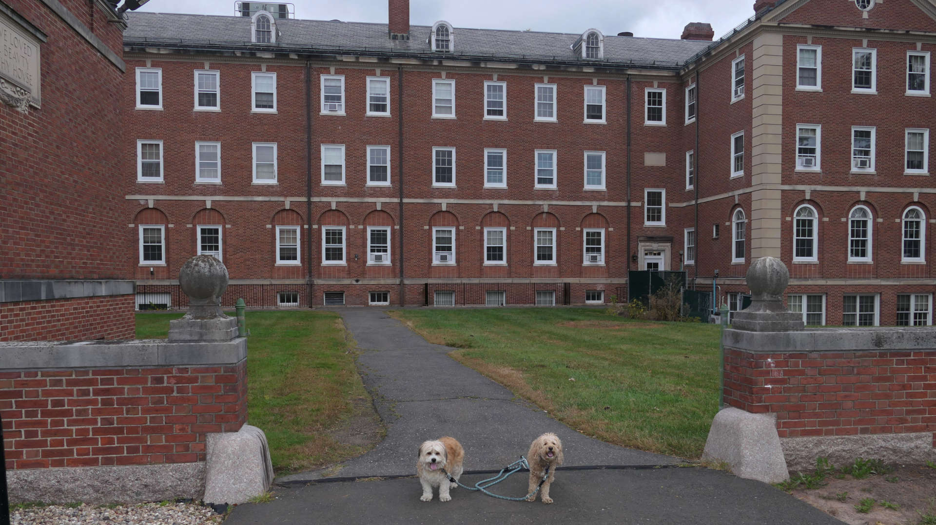 West_Hartford59