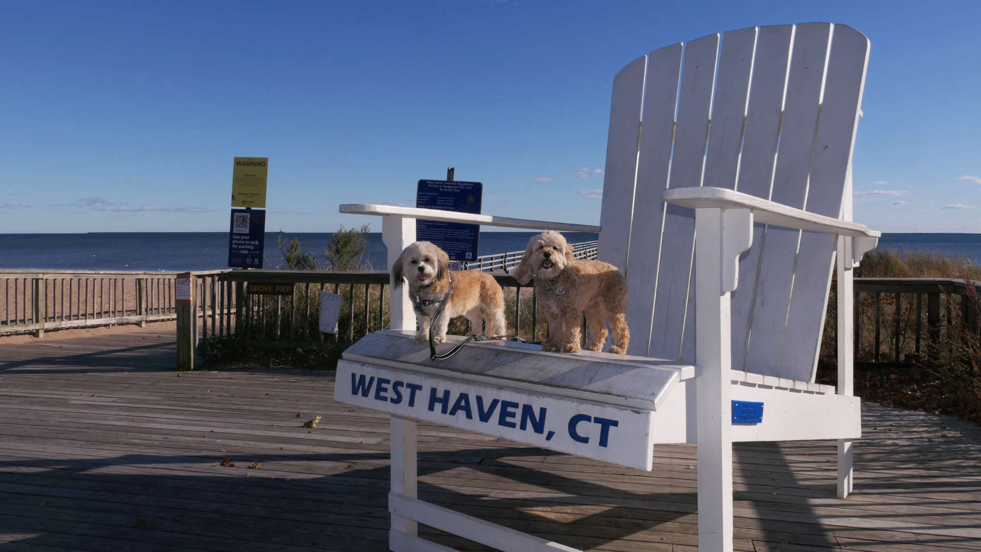 West_Haven41